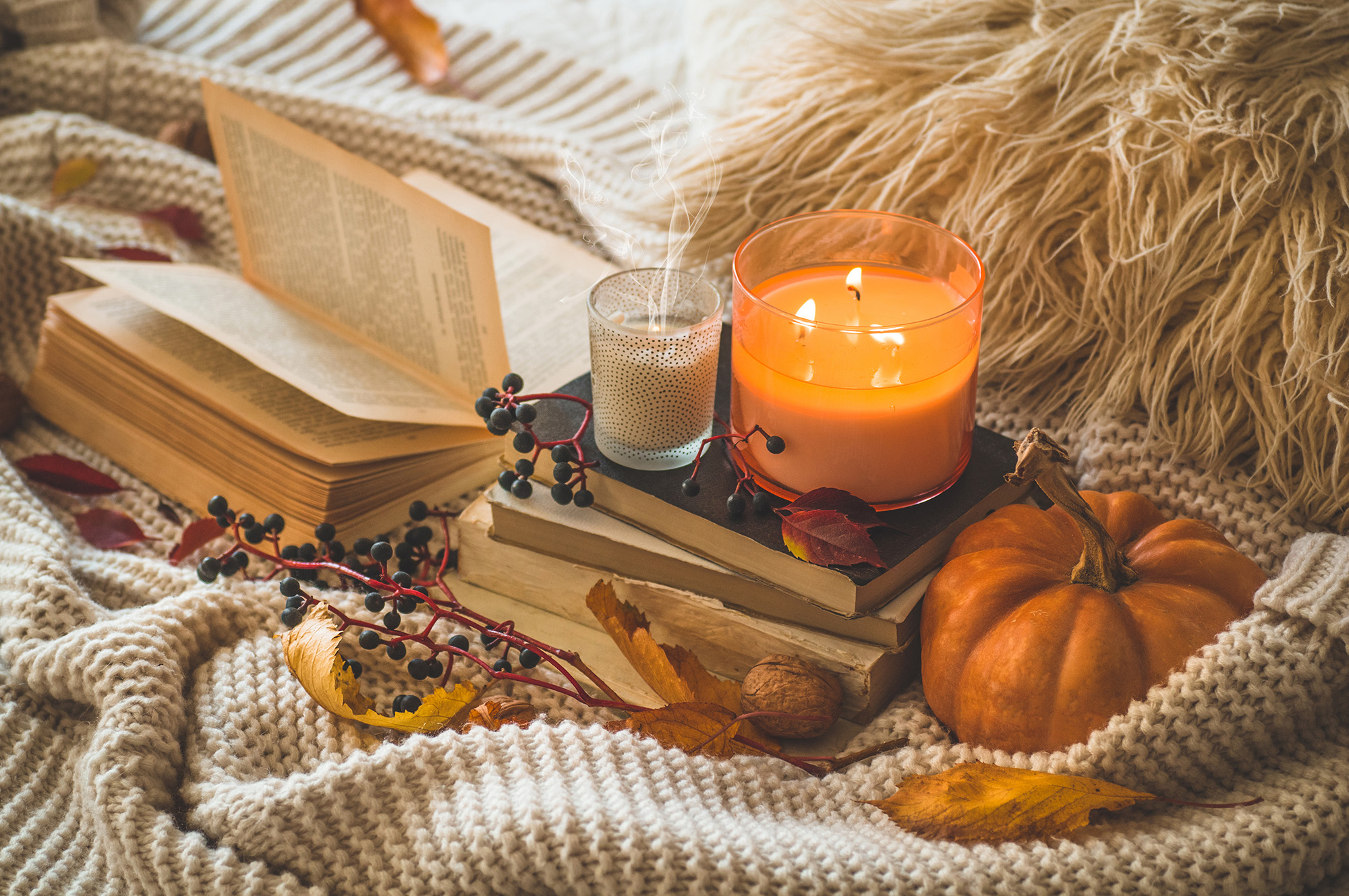 November Events in the Ann Arbor Area